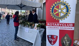 Unser Verkaufsstand am Stadtplatz 